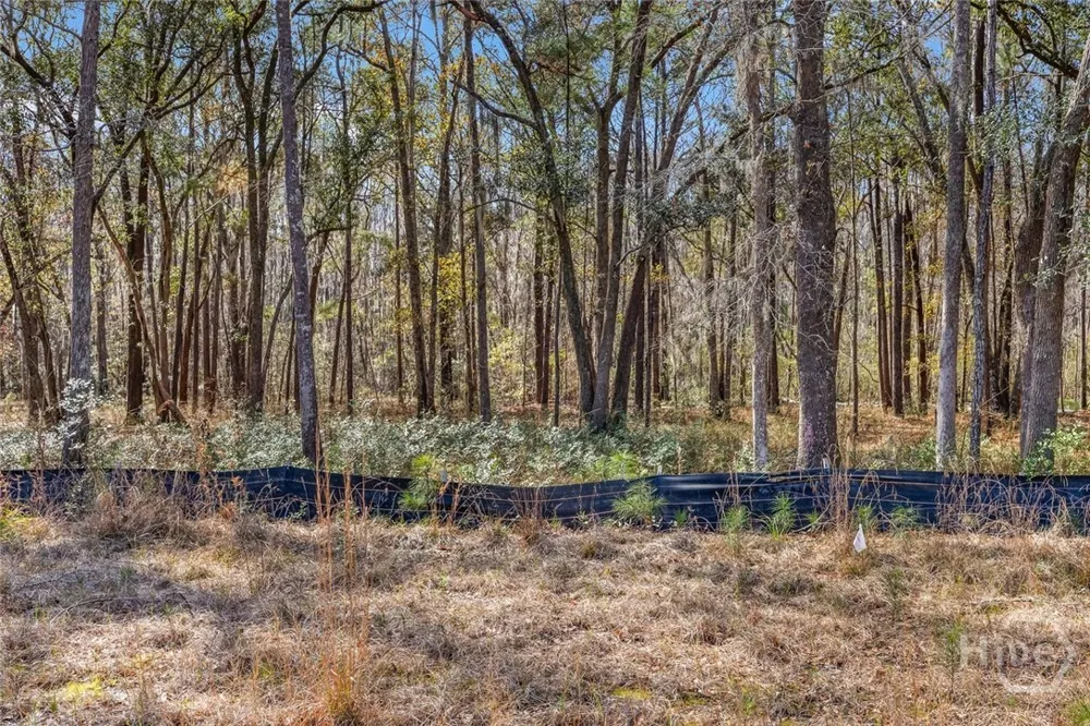 151 Wood Haven Lane Pooler, GA 31322