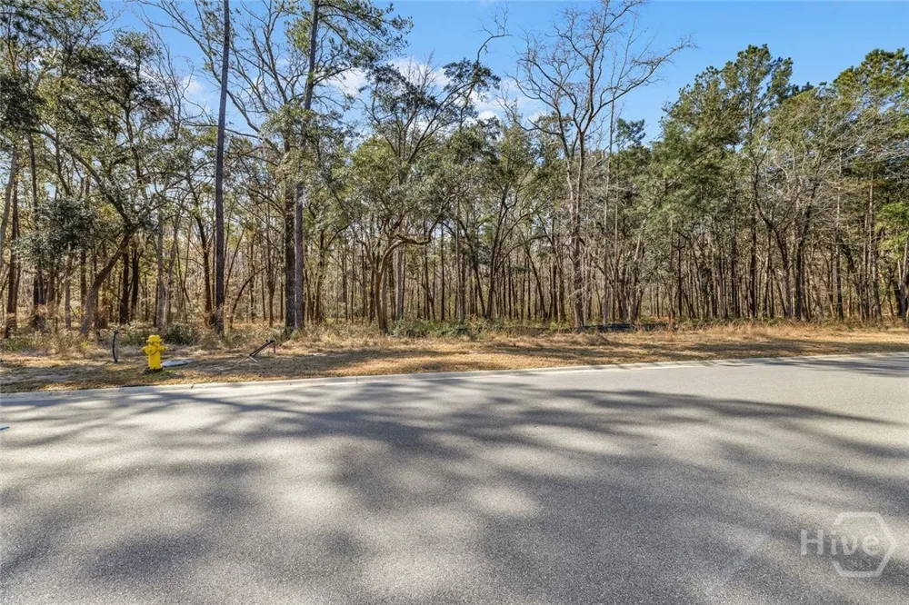 151 Wood Haven Lane Pooler, GA 31322