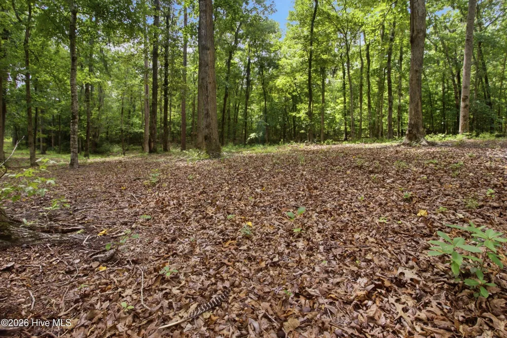 4725 Creeks Junction Road Blounts Creek, NC 27814
