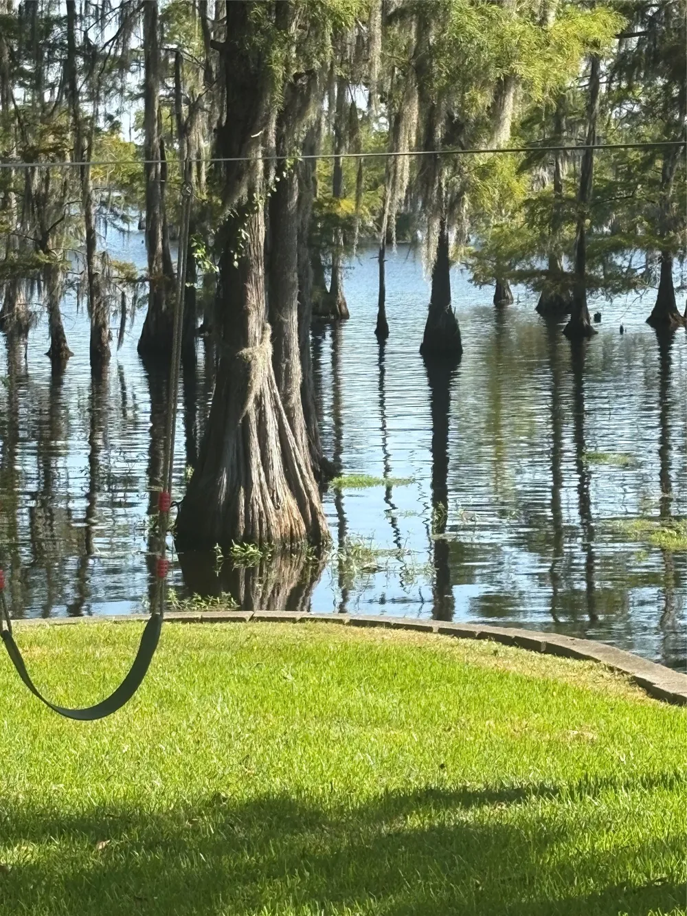 459 Dollie Moore Road Ringgold, LA 71068