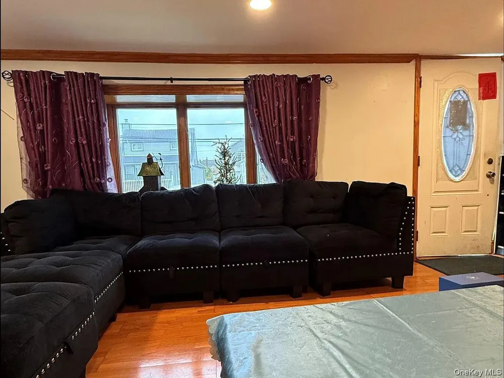 17 Litchfield Avenue Elmont, NY 11003