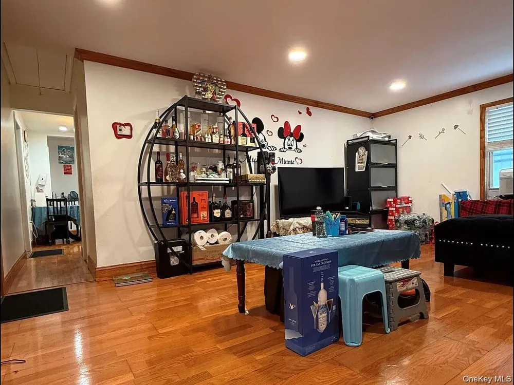 17 Litchfield Avenue Elmont, NY 11003