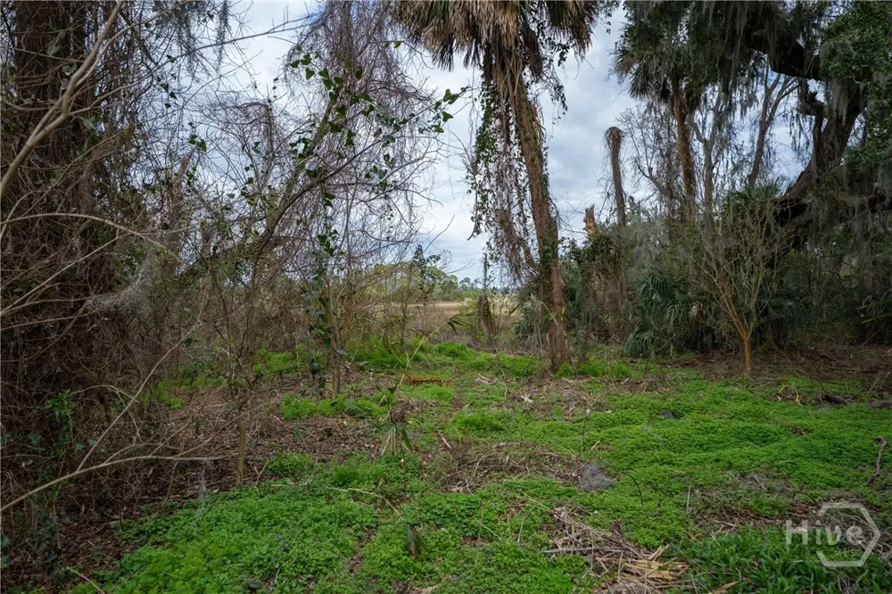 13 Sassafras Lane Beaufort, SC 29926
