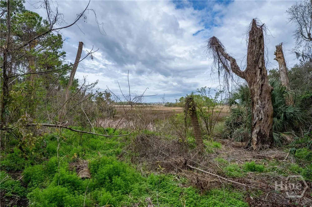 13 Sassafras Lane Beaufort, SC 29926