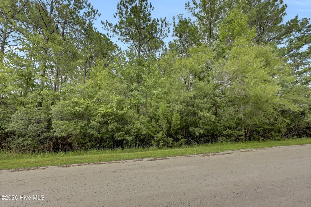 12 Green Acres Drive Hampstead, NC 28443