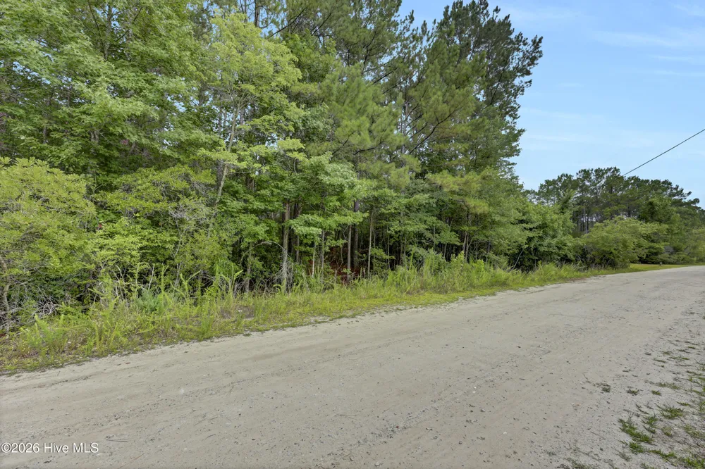 12 Green Acres Drive Hampstead, NC 28443