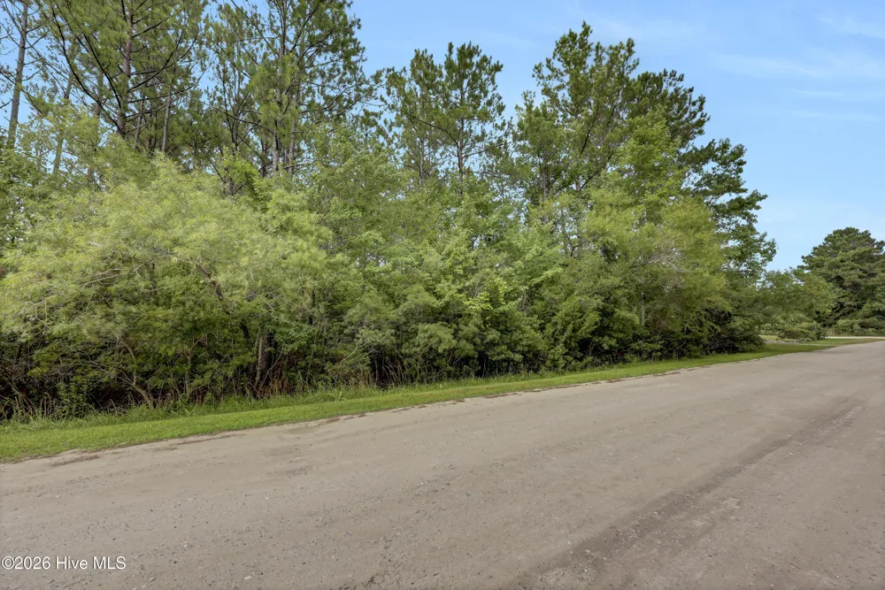 12 Green Acres Drive Hampstead, NC 28443