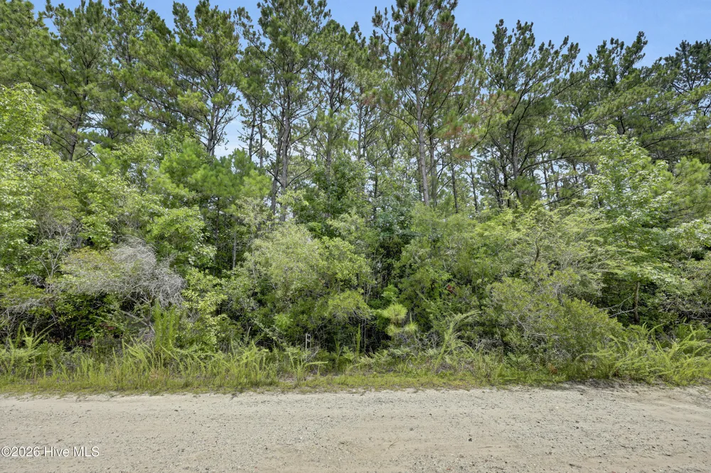 12 Green Acres Drive Hampstead, NC 28443