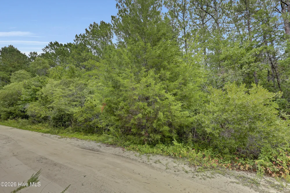 12 Green Acres Drive Hampstead, NC 28443