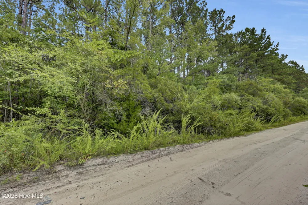12 Green Acres Drive Hampstead, NC 28443