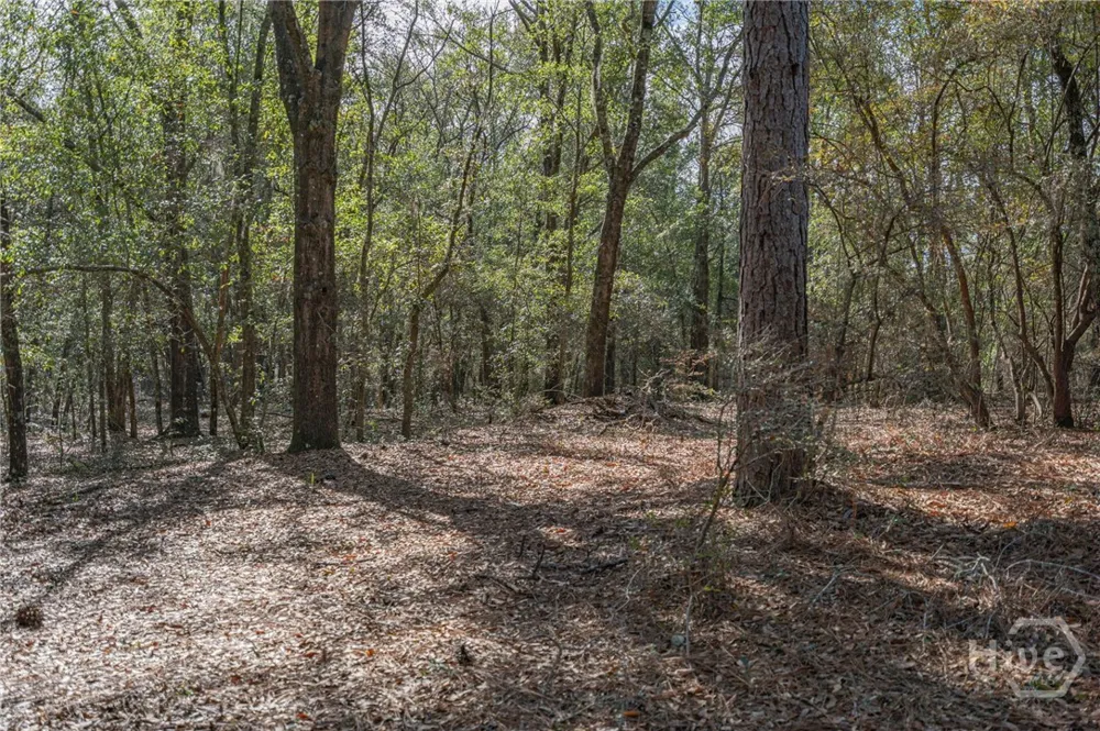 164 Holly Drive Eden, GA 31307