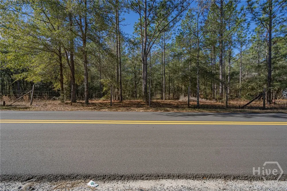 164 Holly Drive Eden, GA 31307