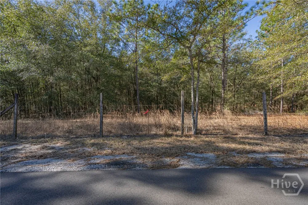 164 Holly Drive Eden, GA 31307
