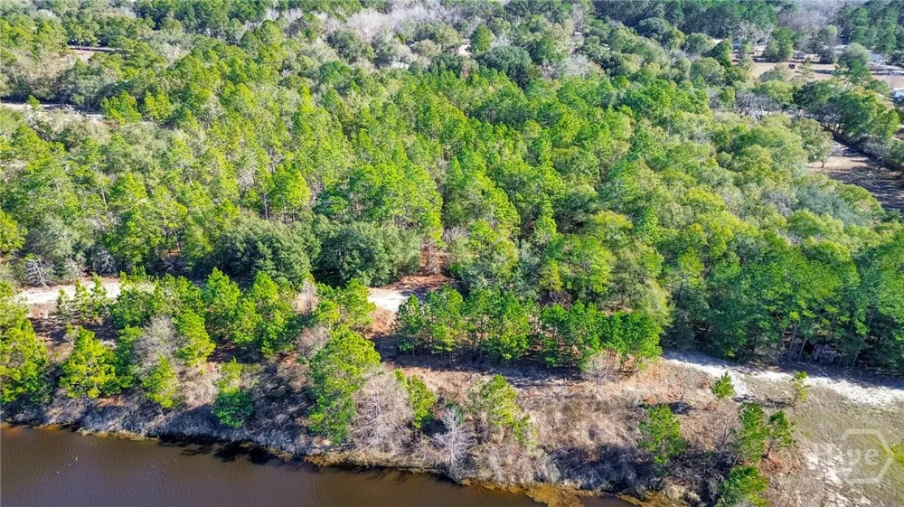 164 Holly Drive Eden, GA 31307