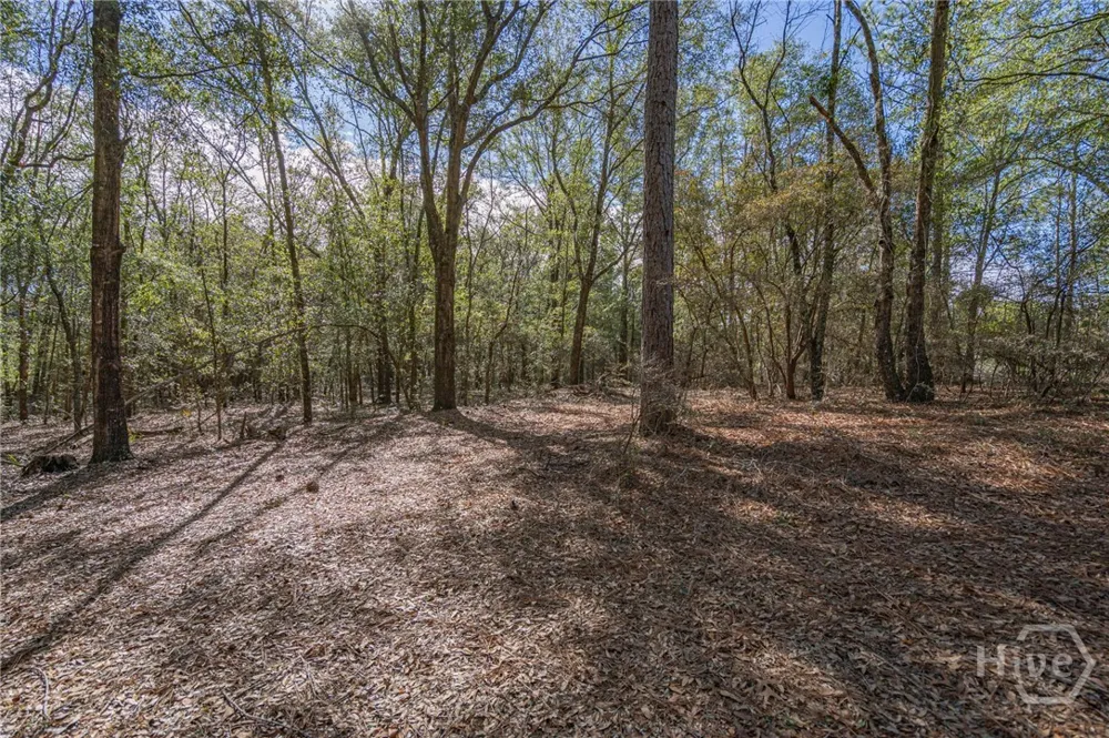 164 Holly Drive Eden, GA 31307