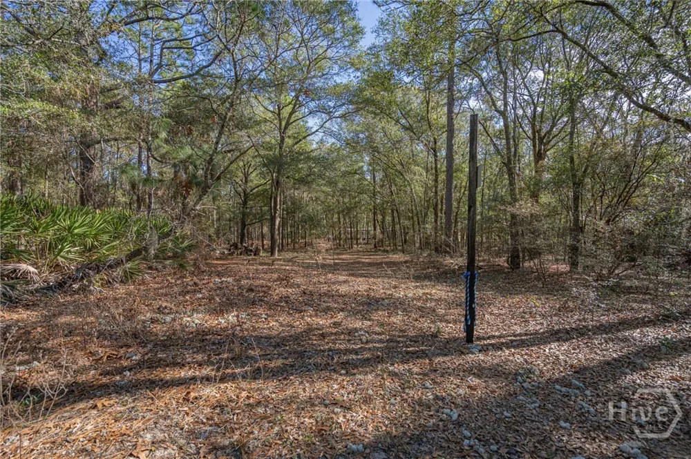 164 Holly Drive Eden, GA 31307
