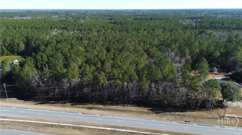 Highway 21 Springfield, GA 31329