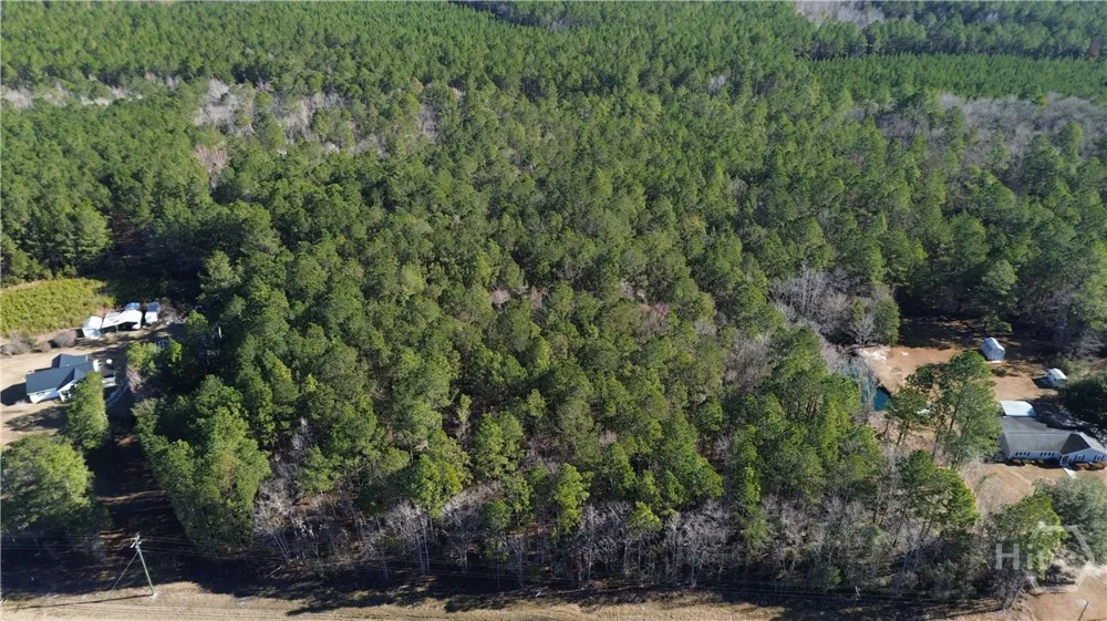 Highway 21 Springfield, GA 31329