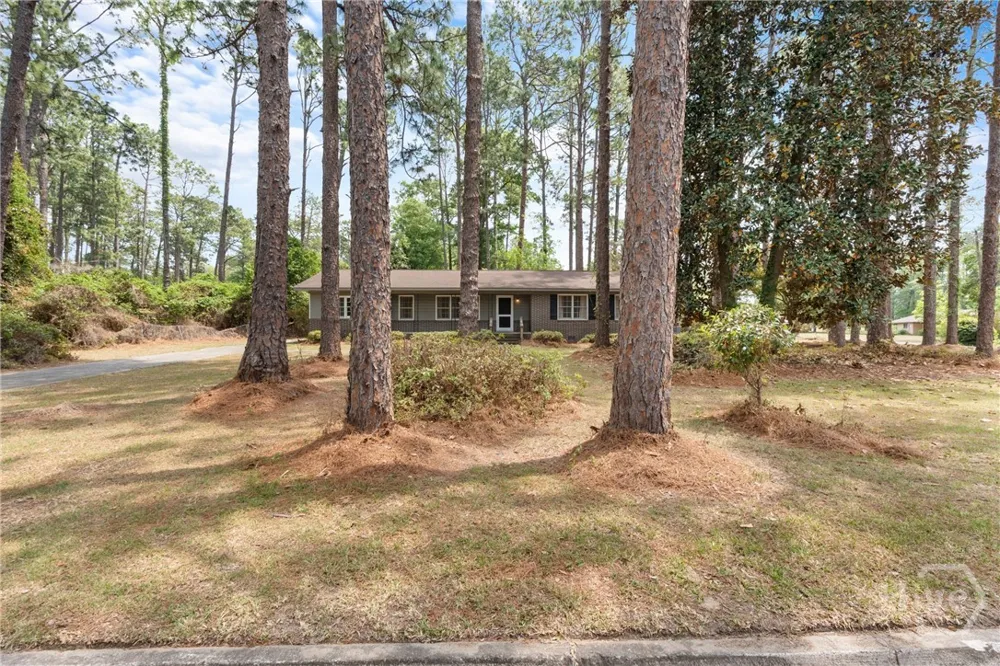 103 Wildwood Drive Sylvania, GA 30467
