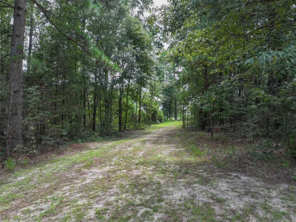 127 S County Road 1001 New Boston, TX 75570