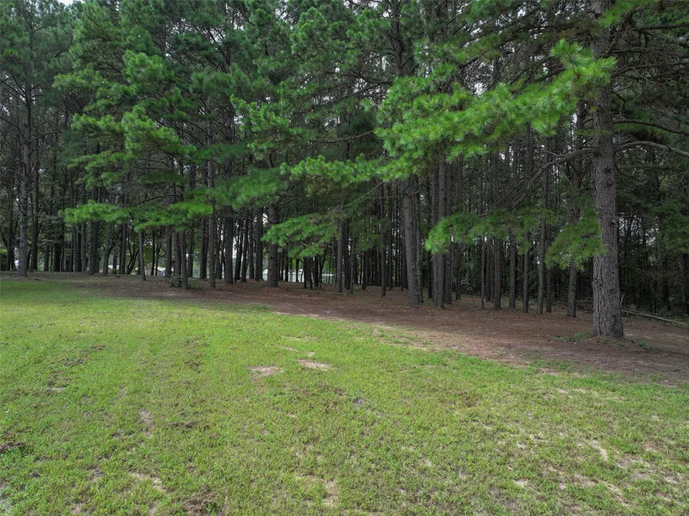 127 S County Road 1001 New Boston, TX 75570