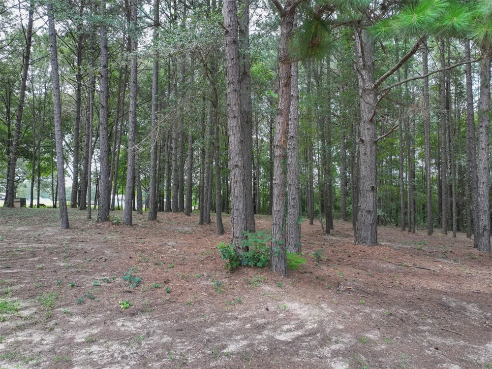 127 S County Road 1001 New Boston, TX 75570