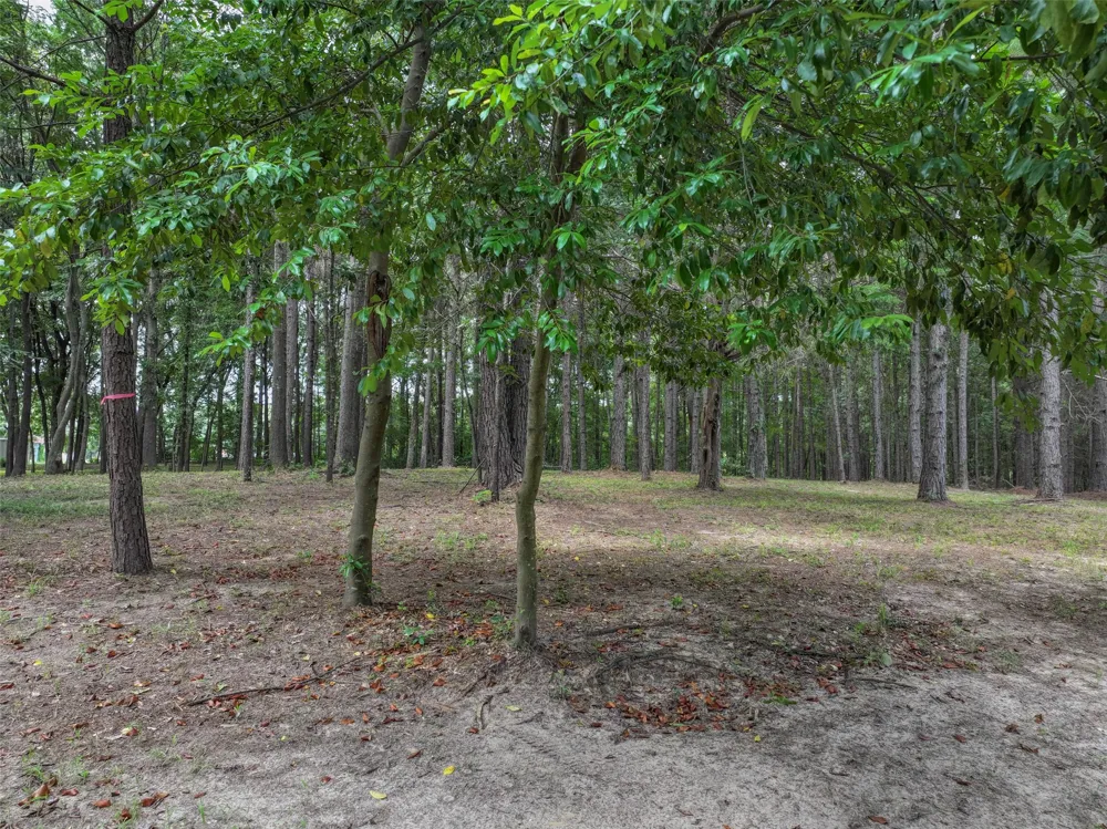 127 S County Road 1001 New Boston, TX 75570