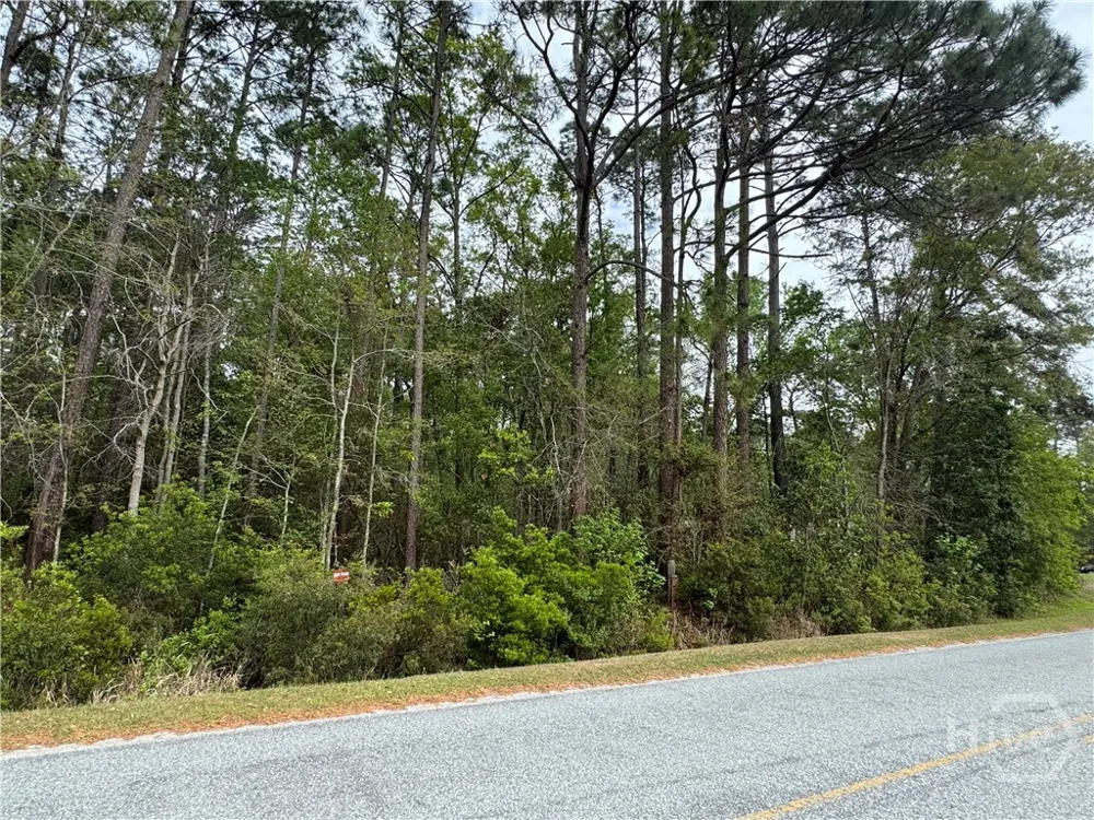 Oak Street Rincon, GA 31326