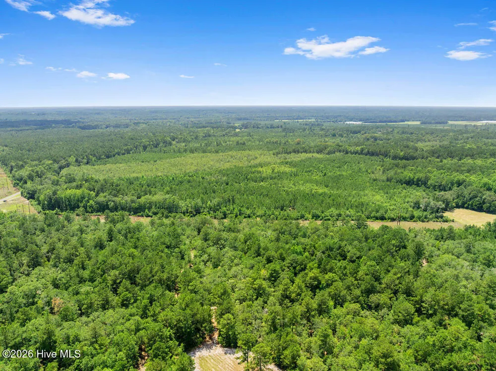 Na Burney Road White Oak, NC 28399