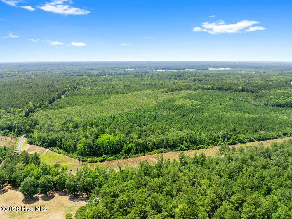 Na Burney Road White Oak, NC 28399