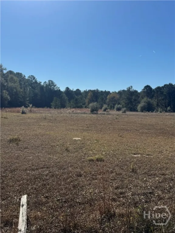 353 Wilder Road Allenhurst, GA 31301