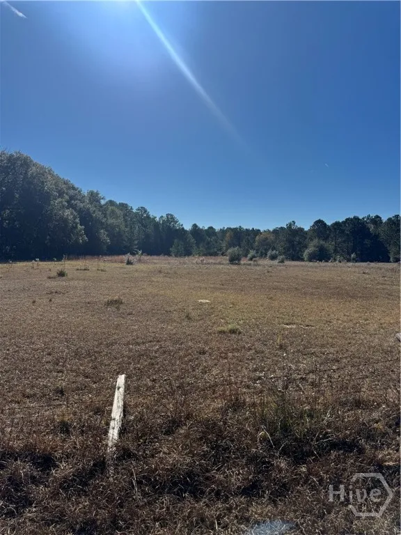 353 Wilder Road Allenhurst, GA 31301
