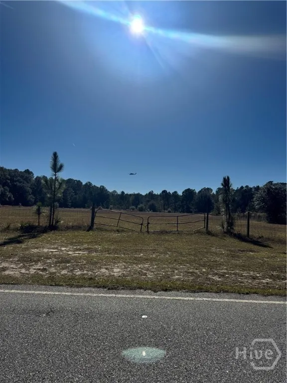 353 Wilder Road Allenhurst, GA 31301
