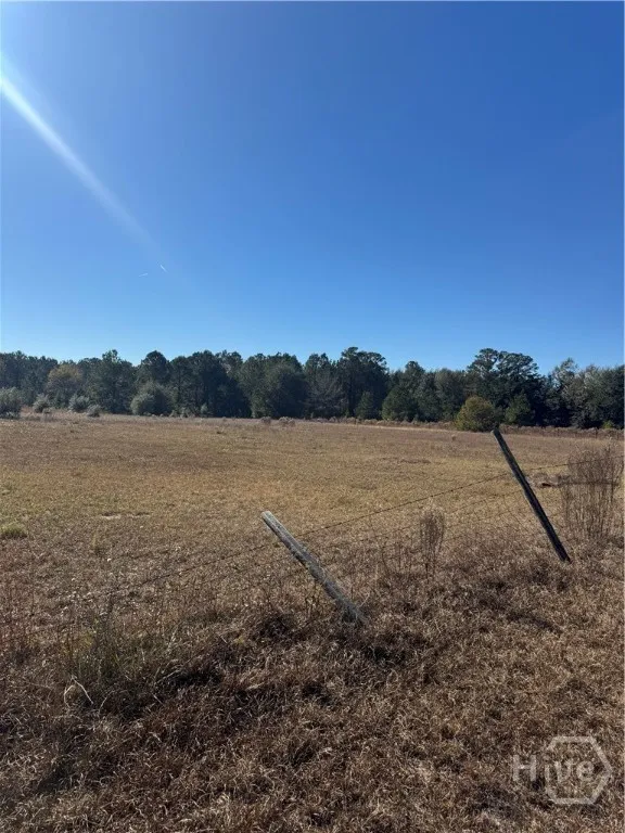 353 Wilder Road Allenhurst, GA 31301