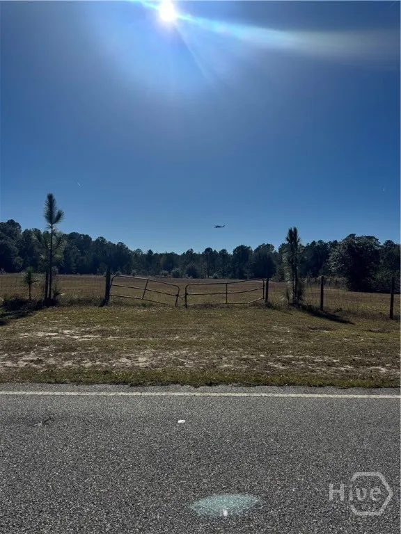 353 Wilder Road Allenhurst, GA 31301