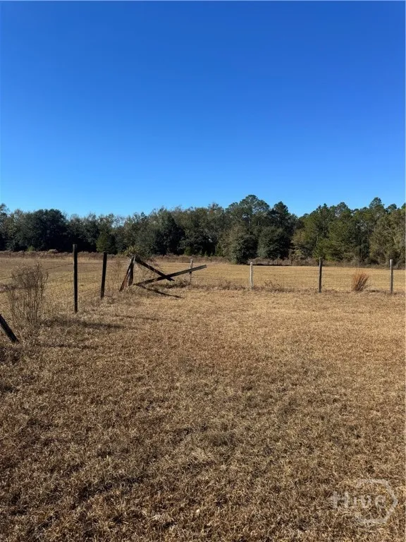 353 Wilder Road Allenhurst, GA 31301