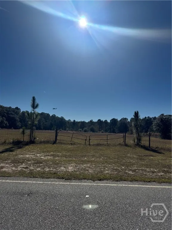 353 Wilder Road Allenhurst, GA 31301