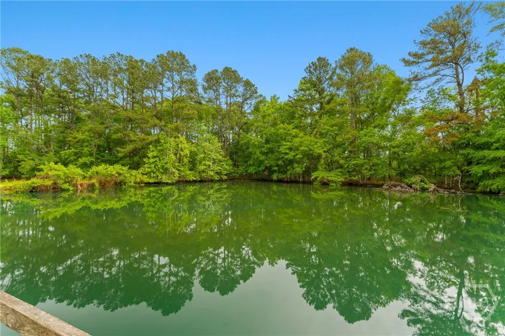 4221 Ga Highway 119 Highway Clyo, GA 31303