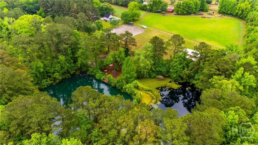 4221 Ga Highway 119 Highway Clyo, GA 31303