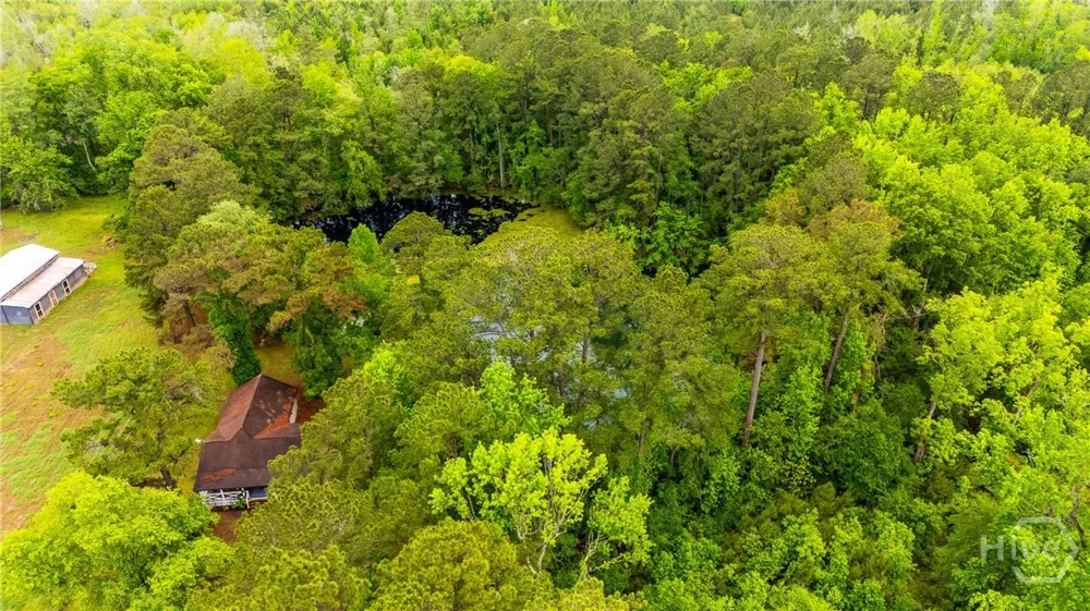 4221 Ga Highway 119 Highway Clyo, GA 31303