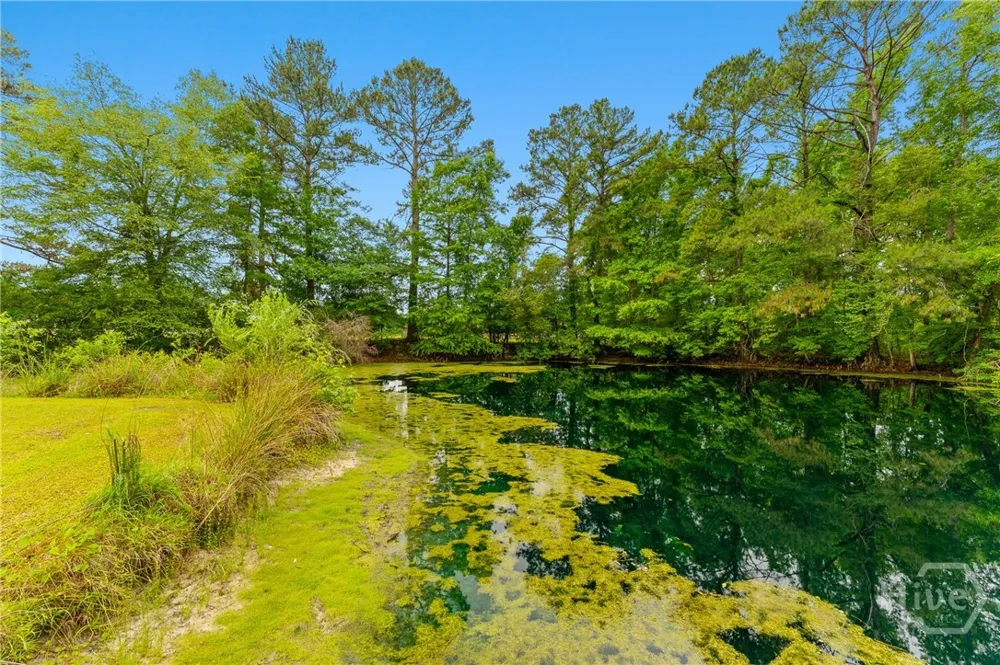 4221 Ga Highway 119 Highway Clyo, GA 31303