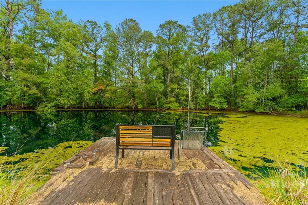 4221 Ga Highway 119 Highway Clyo, GA 31303