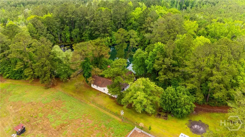 4221 Ga Highway 119 Highway Clyo, GA 31303