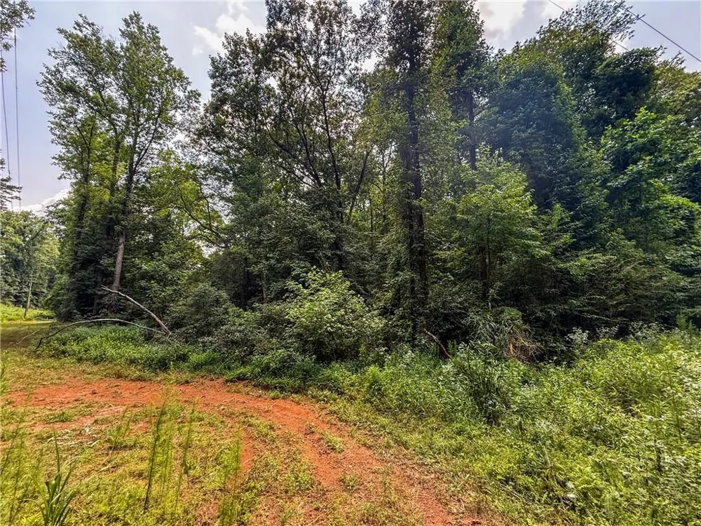 0 Highway 19 Dahlonega, GA 30533