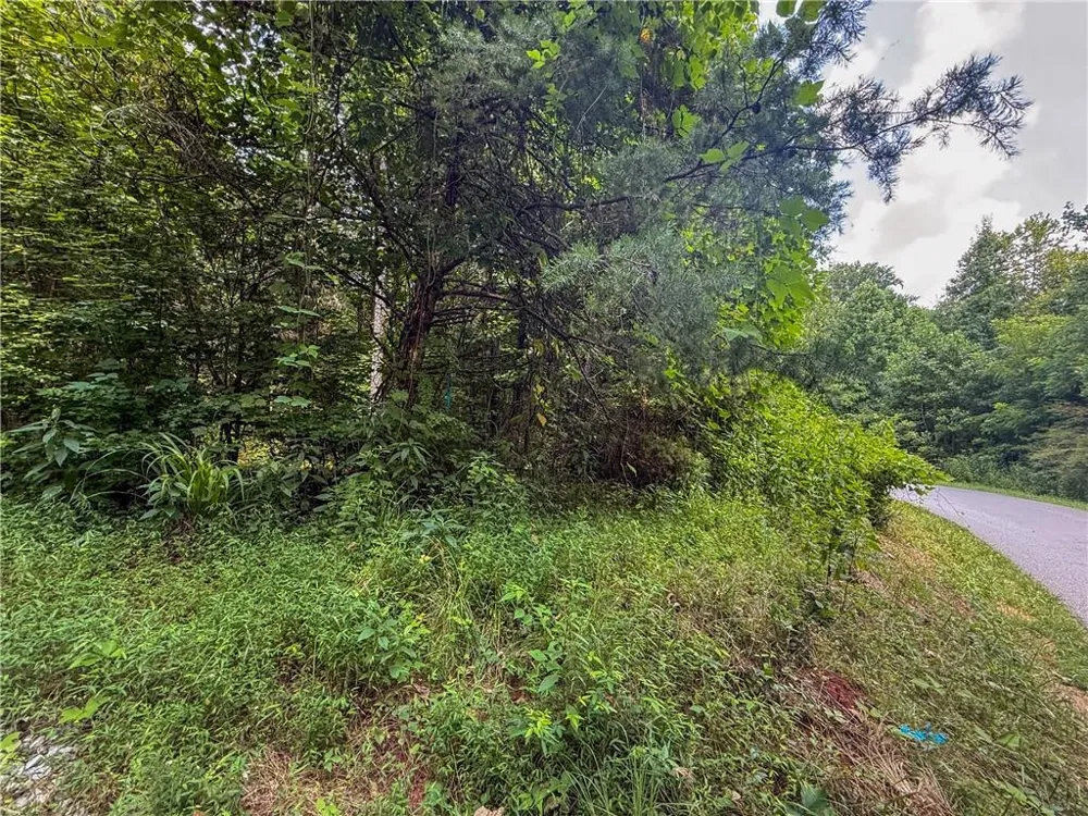 0 Highway 19 Dahlonega, GA 30533