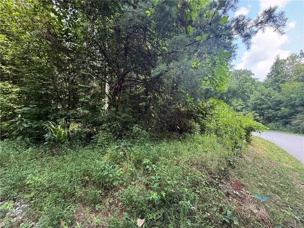 0 Highway 19 Dahlonega, GA 30533