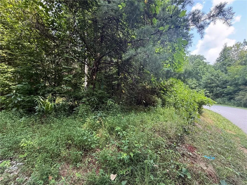 0 Highway 19 Dahlonega, GA 30533