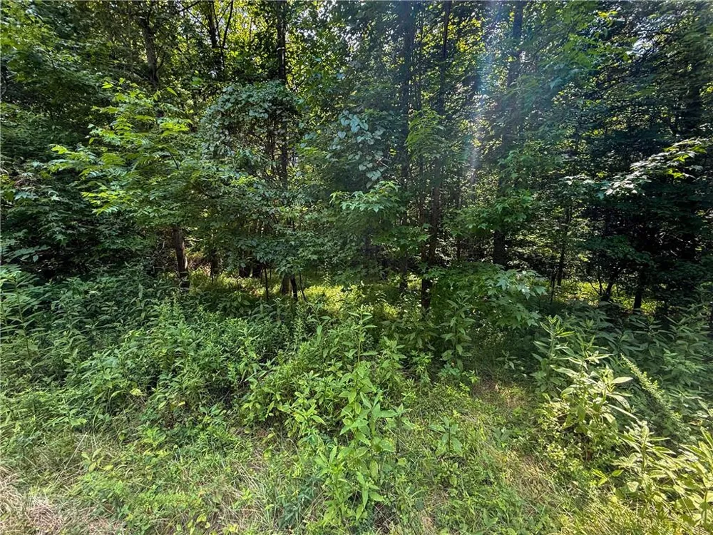 0 Highway 19 Dahlonega, GA 30533