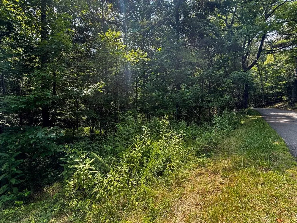 0 Highway 19 Dahlonega, GA 30533