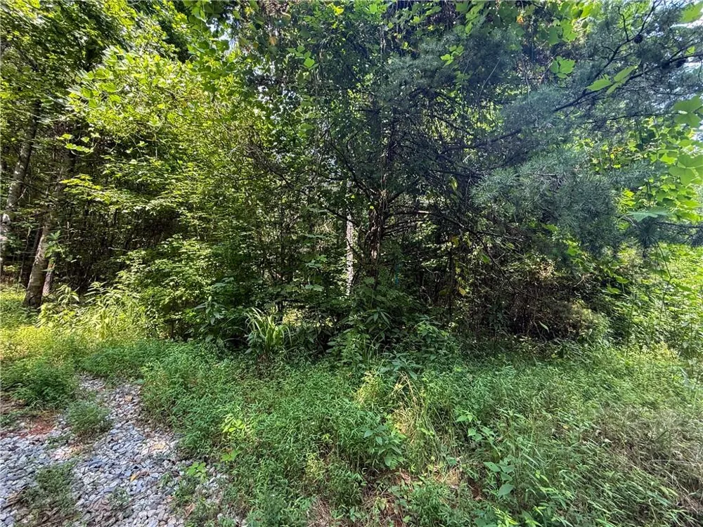 0 Highway 19 Dahlonega, GA 30533